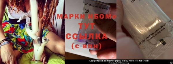 крисы Абаза