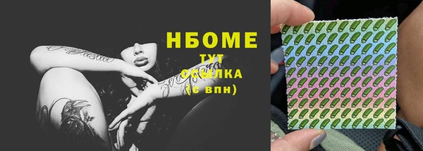 крисы Абаза