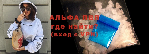 крисы Абаза