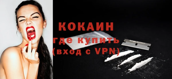 крисы Абаза