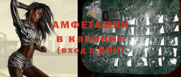 прущие грибы Покров