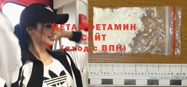 прущие грибы Покров