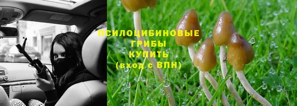 крисы Абаза